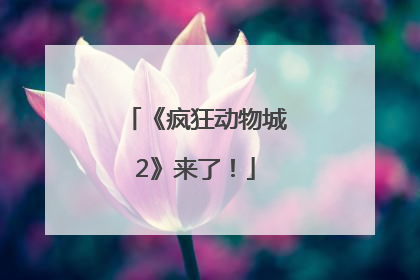 《疯狂动物城2》来了！