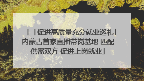 「促进高质量充分就业巡礼」内蒙古首家直播带岗基地 匹配供需双方 促进上岗就业