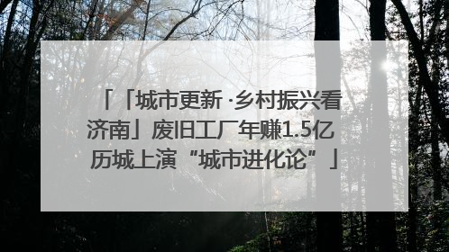 「城市更新 ·乡村振兴看济南」废旧工厂年赚1.5亿 历城上演“城市进化论”