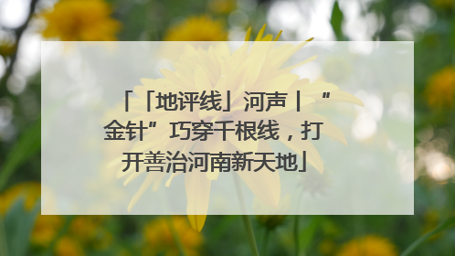 「地评线」河声丨“金针”巧穿千根线，打开善治河南新天地