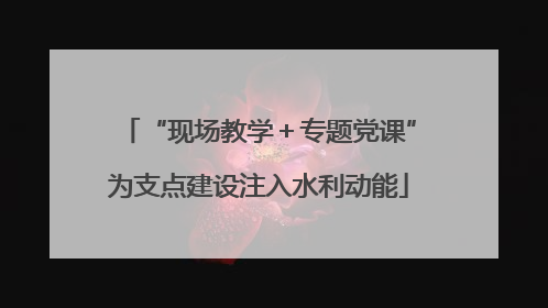 “现场教学＋专题党课”为支点建设注入水利动能