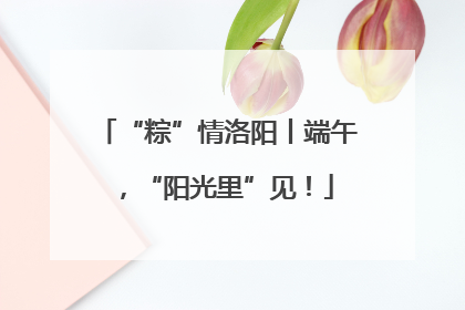 “粽”情洛阳丨端午，“阳光里”见！
