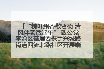 “粽叶飘香敬贤德 清风伴老话端午” 致公党李沧区基层委携手兴城路街道四流北路社区开展端午节主题活动