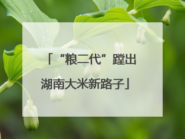 “粮二代”蹚出湖南大米新路子