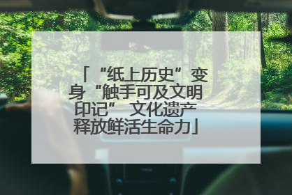 “纸上历史”变身“触手可及文明印记” 文化遗产释放鲜活生命力