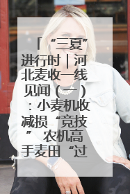 “三夏”进行时｜河北麦收一线见闻（一）：小麦机收减损“竞技” 农机高手麦田“过招”