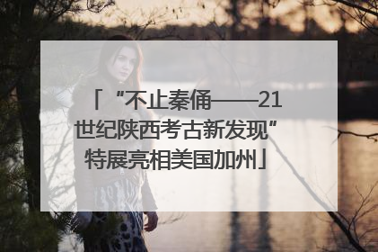 “不止秦俑——21世纪陕西考古新发现”特展亮相美国加州