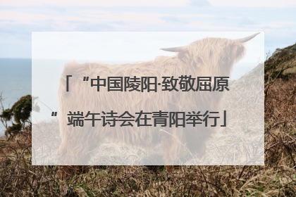 “中国陵阳·致敬屈原”端午诗会在青阳举行