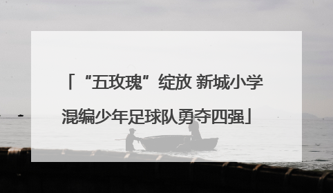 “五玫瑰”绽放 新城小学混编少年足球队勇夺四强