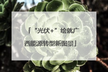 “光伏+”绘就广西能源转型新图景