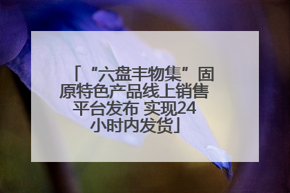 “六盘丰物集”固原特色产品线上销售平台发布 实现24小时内发货