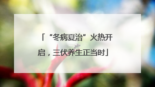 “冬病夏治”火热开启，三伏养生正当时