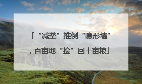 “减垄”推倒“隐形墙”，百亩地“捡”回十亩粮