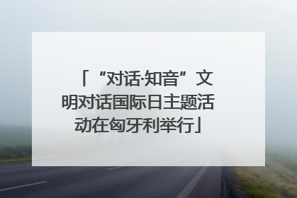“对话·知音”文明对话国际日主题活动在匈牙利举行