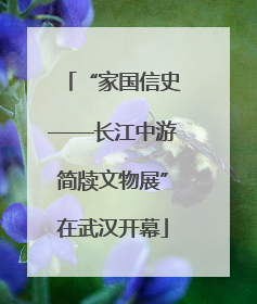 “家国信史——长江中游简牍文物展”在武汉开幕