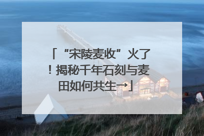 “宋陵麦收”火了！揭秘千年石刻与麦田如何共生→
