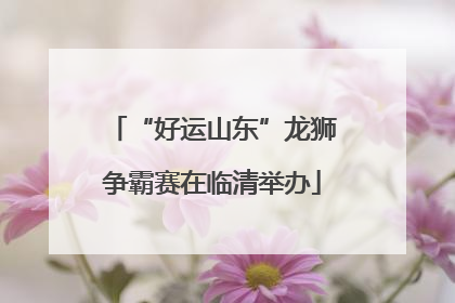 “好运山东”龙狮争霸赛在临清举办