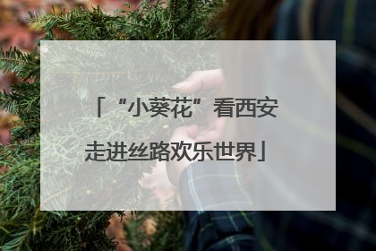 “小葵花”看西安走进丝路欢乐世界