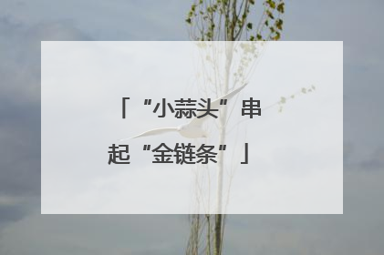 “小蒜头”串起“金链条”