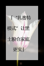 “扎赉特模式”让黑土粮仓家底更实