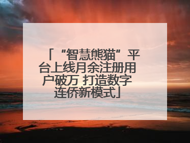 “智慧熊猫”平台上线月余注册用户破万 打造数字连侨新模式