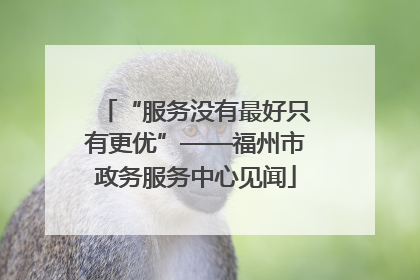 “服务没有最好只有更优”——福州市政务服务中心见闻