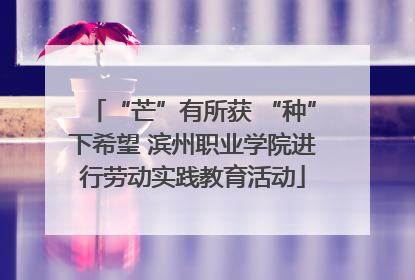 “芒”有所获 “种”下希望 滨州职业学院进行劳动实践教育活动
