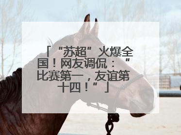 “苏超”火爆全国！网友调侃：“比赛第一，友谊第十四！”
