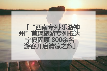“西南专列·乐游神州”首趟旅游专列抵达宁夏固原 800余名游客开启清凉之旅