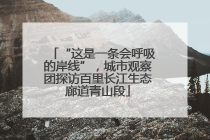 “这是一条会呼吸的岸线”，城市观察团探访百里长江生态廊道青山段