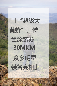 “超级大黄蜂”、特色涂装苏-30MKM 众多明星装备亮相