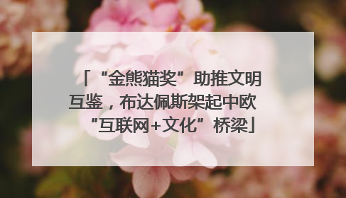 “金熊猫奖”助推文明互鉴，布达佩斯架起中欧“互联网+文化”桥梁