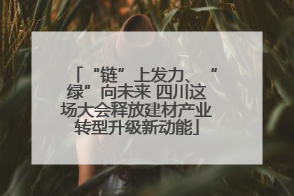 “链”上发力、“绿”向未来 四川这场大会释放建材产业转型升级新动能