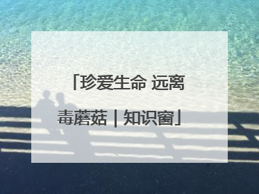 珍爱生命 远离毒蘑菇｜知识窗