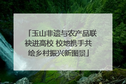 玉山非遗与农产品联袂进高校 校地携手共绘乡村振兴新图景