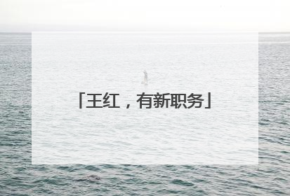 王红，有新职务
