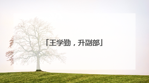 王学勤，升副部
