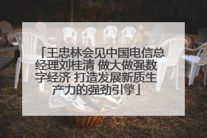 王忠林会见中国电信总经理刘桂清 做大做强数字经济 打造发展新质生产力的强劲引擎