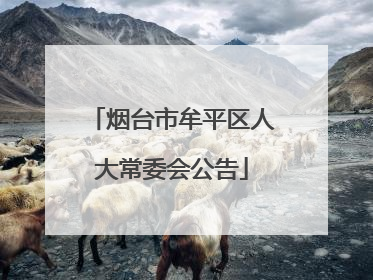 烟台市牟平区人大常委会公告