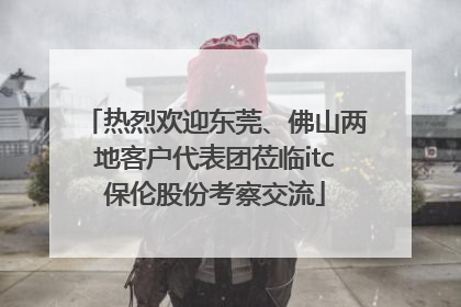 热烈欢迎东莞、佛山两地客户代表团莅临itc保伦股份考察交流