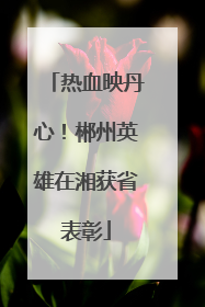 热血映丹心！郴州英雄在湘获省表彰
