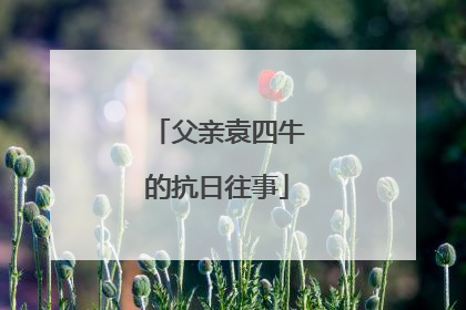 父亲袁四牛的抗日往事