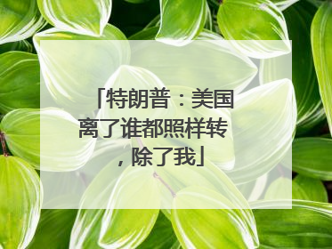 特朗普：美国离了谁都照样转，除了我