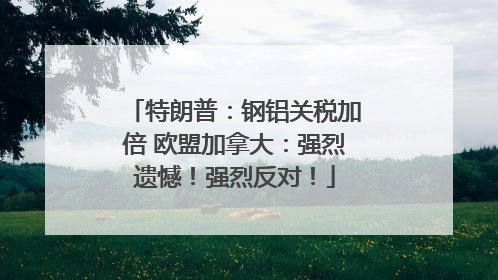 特朗普：钢铝关税加倍 欧盟加拿大：强烈遗憾！强烈反对！