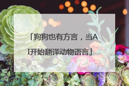 狗狗也有方言，当AI开始翻译动物语言
