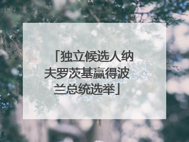 独立候选人纳夫罗茨基赢得波兰总统选举