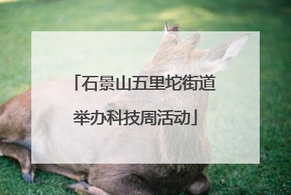 石景山五里坨街道举办科技周活动