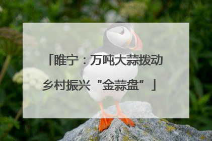 睢宁：万吨大蒜拨动乡村振兴“金蒜盘”