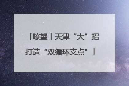 瞭望丨天津“大”招打造“双循环支点”