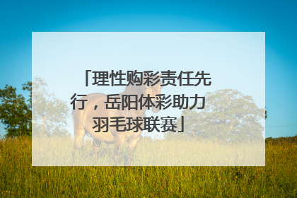 理性购彩责任先行，岳阳体彩助力羽毛球联赛